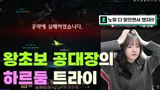 왕초보 공대장의 우당탕탕 하르둠 트라이 [로스트아크]