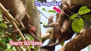 Young Mom don't hold baby while move, Pity Newborn Sami no power try hug hard mom's leg