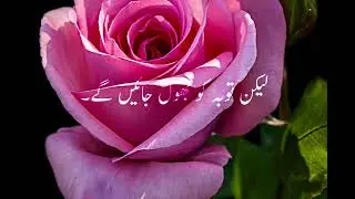 5 Yad Honge 5 Bhool Jayenge #faithfacts #shortsfeed #shorts#viralvideo