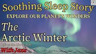 The Arctic Winter: Life at the North Pole | With Jane | Soothing Sleep Story