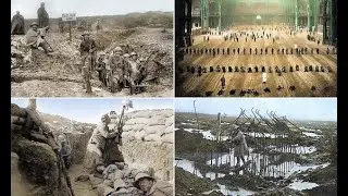 Grim reality of World War One is brought to life in vivid colour pictures