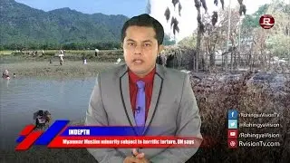 Rohingya Daily News 11 March 2016