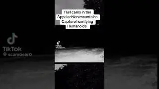 Appalachian Trail Cam Horror's #creepy