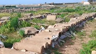 بثًا مباشرًا الخلية التقليدية 🐝اللهم بارك