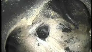 Inspekcja video kanalizacji kamerą wpychaną, obrotową.