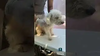 Jes&uacute;s Alberto Constantino Meza examen f&iacute;sico general