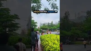 #trending#trendingshorts#cognizant#ibm#manyatatechpark#bangalore #bangaloreairport#heavyrain#love