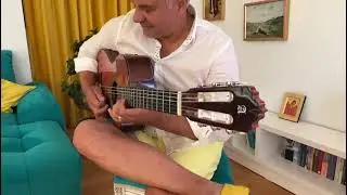 Chitara Nelu Costobita -H'Ora Exacta Ionica Minune 2022 (Cover)