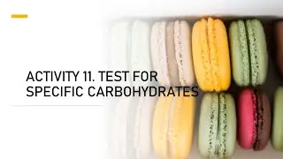 ACTIVITY 11. TESTS FOR SPECIFIC CARBOHYDRATES
