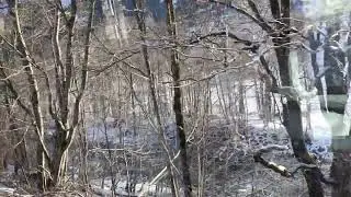 Viral! Scenic Mountain Train Trip in Switzerland 🇨🇭🇨🇭, January 2026