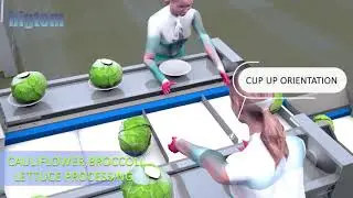 FROZEN VEGETABLES PRODUCTION LINES ANIMATION