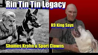 Rin Tin Tin Buries Krohn & Sport Fakes