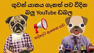 ගුවන් යානය ගැනත් පච විදින බලු YouTube ඩබල #sepalamarasinghe #sepalshortclips #ravikumudesh