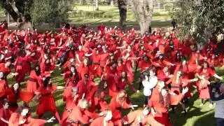 Kate Bush Wuthering Day - Melbourne - 15th July 2017 - final version