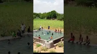Only in Somalia #daawo #automobile #maxaa #mudug #farming #somalia #houseforsale #puntland