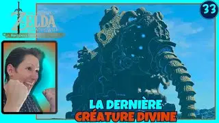 The LEGEND of ZELDA : BREATH of the WILD, SWITCH 2 EDITION - LET'S PLAY FR, Partie 33