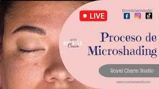 Proceso de Microshading (Microblading + shading)