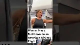 Woman has meltdown over &lsquo;not real&rsquo; passenger on American Airlines flight #shorts