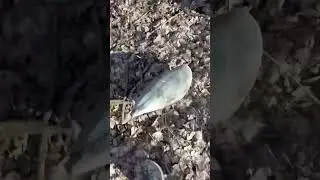 @animals @river @outside @wilderness