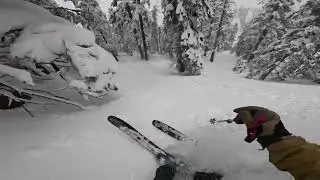 Powder Day at Heavenly Mountain Resort - Lake Tahoe - Tree Skiing and Backcountry Crashes