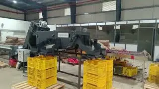 Onion Grading Machine | कांदा ग्रेडिंग मशीन