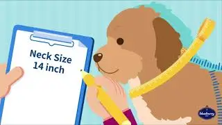 😍 Best Dog Coats You Can Buy: Top 5 Dog Coat review - Dog Coat Buying Guide 😍