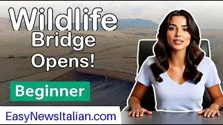 World's Largest Animal Bridge Opens in Colorado | Beginner #LearnItalian