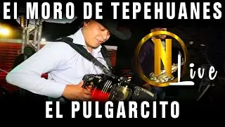 Grupo Nativo 