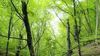 հարց֊պատասխան