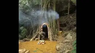 Building a shelter in a tree#wildbuild