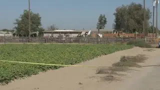 Fresno Sheriff's Office investigating 2 separate homicides in 2 days, overall crime in county down