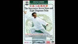 The Successive Seven Stars And Eight Diagrams Palm