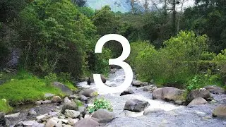 Find Freedom 3 | Cocora Valley Mediation | Deep Sleeping Music For Lucid Dreaming