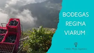 Bodegas Regina Viarum