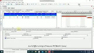 Level of Effort Activity in Primavera P6 (Watch & Learn)