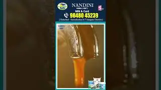 NANDINI HAMUL(KMF) Milk & Curd | #Probiotics #Stronghair #Calcium #Curd #Healthy #Digestion