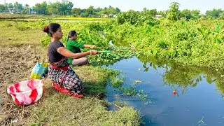 Fishing Video || Two Village beautiful lady Fishing in the canal Using hook || Hook Fishing