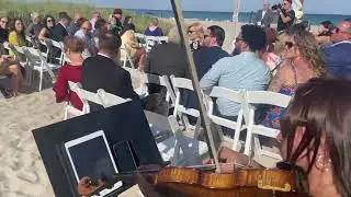 Coll Music | Violin Soloist