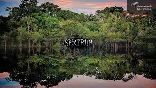 Spectrum - Save Amazon