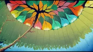 Alucuo - Trochilidae (short version)