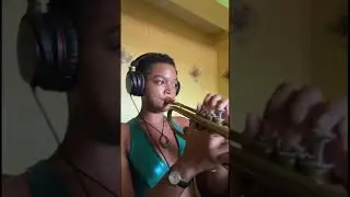 Old Disney &ldquo;When you wish upon a star (Trumpet Cover by Darlene Francis)