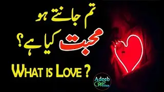 Mohabbat kya hai | what is love | Payar kya hai | Love quotes in Urdu | adeeb writes