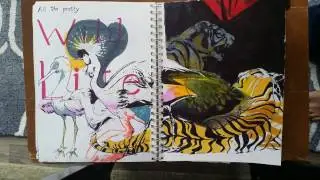 James Heelis - Calarts Sketchbook 1 2017 - Accepted