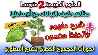 الدرس الثالث : تحورات المجموع الخضري ( الجزء الهوائي ) العلو الطبيعية السنة الثانية متوسط  اروع شرح 