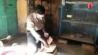 Love Bird Nest Box Setup
