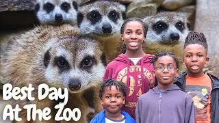 9b4m Kids Visit the Smithsonian National Zoo for the First Time