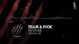 Tellur & Evok - Panther