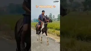 short video #viral #horseracing #trendingvideo #rider #shortclips #@ahiranpankaj7643
