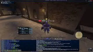 Dynamis - Windurst [D] (mini) - Valefor - Dec 29 2025