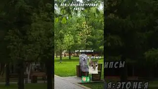 Пов: когда уронил чипсы друга #meme #memecat #memes